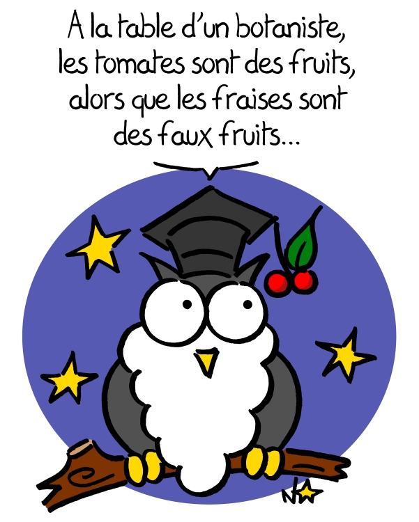 Des fruits et des faux fruits sur Sauvages du Poitou!