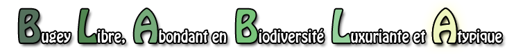 Bugey libre, abondant en biodiversité luxuriante et atypique